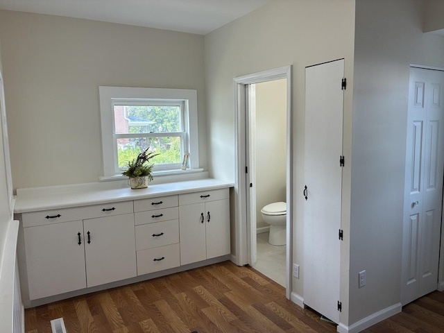 115 N Clay St, Mount Carroll, IL 61053 - bathroom with toilet, wood finished floors, and vanity