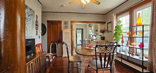 515 E Main St E, Amboy, IL 61310 - dining space featuring dark wood-type flooring, ceiling fan, a textured ceiling, and crown molding
