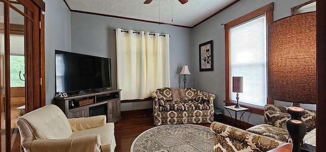 515 E Main St E, Amboy, IL 61310 - living room featuring wood finished floors, a ceiling fan, ornamental molding, baseboards, and a textured ceiling