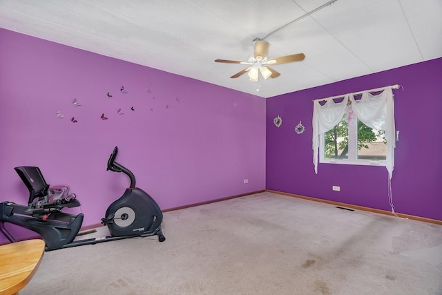 10528 Ridge Cove Dr Unit 11A, Chicago Ridge, IL 60415 - workout room featuring a ceiling fan, carpet, and baseboards