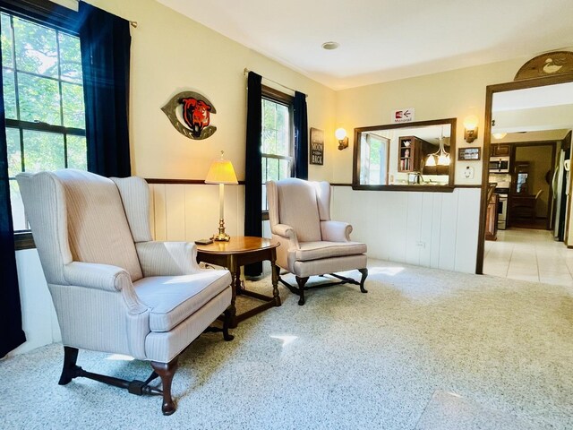 17581 W Summit Dr, Grayslake, IL 60030 - sitting room featuring light carpet, wainscoting, and a decorative wall