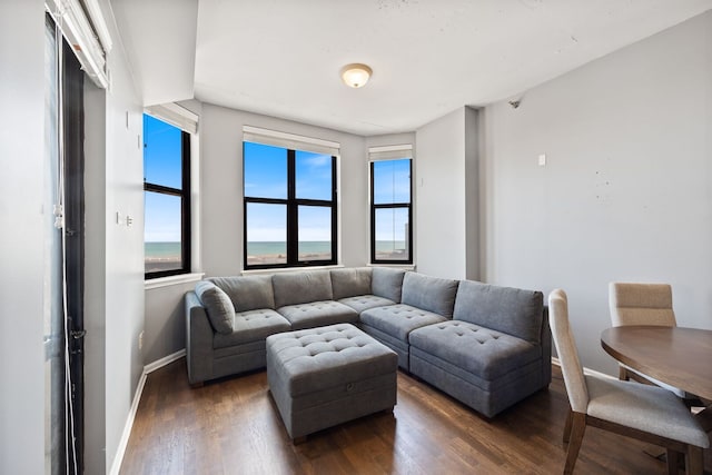 1464 S Michigan Ave Unit 2203, Chicago, IL 60605 - living area with baseboards and dark wood-style floors