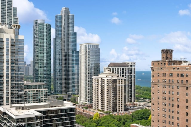 1464 S Michigan Ave Unit 2203, Chicago, IL 60605 - skyline view featuring a large body of water