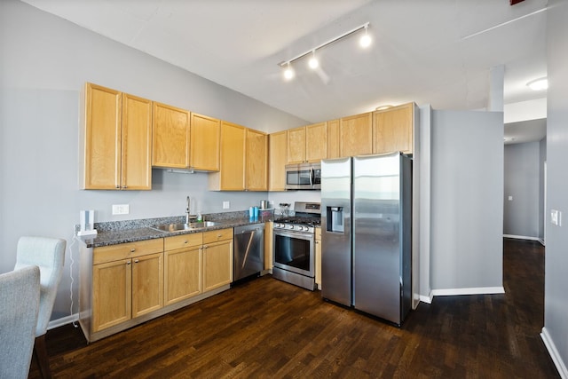 1464 S Michigan Ave Unit 2203, Chicago, IL 60605 - kitchen featuring appliances with stainless steel finishes, a sink, rail lighting, and dark wood finished floors