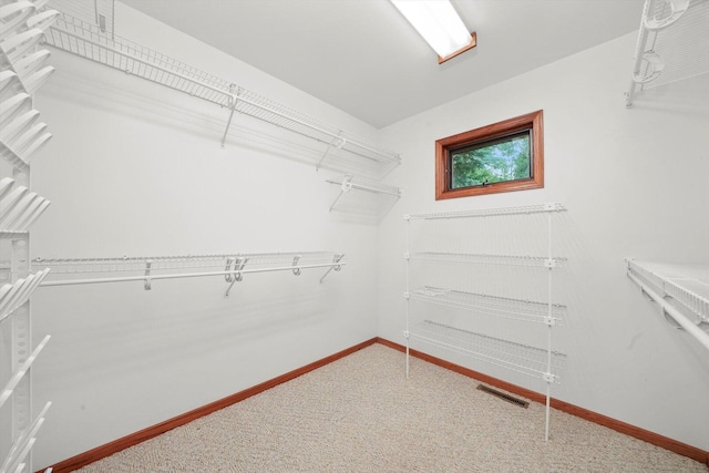9316 Pine Needle Pass, Bull Valley, IL 60097 - walk in closet featuring carpet floors