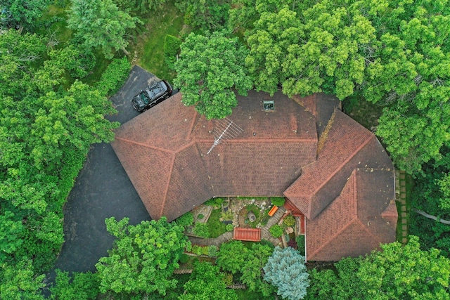 9316 Pine Needle Pass, Bull Valley, IL 60097 - aerial view of property and surrounding area