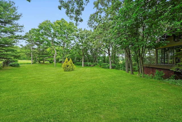 9316 Pine Needle Pass, Bull Valley, IL 60097 - view of green lawn