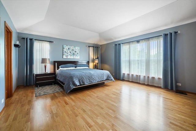 1839 Kings Gate Ln, Crystal Lake, IL 60014 - bedroom with multiple windows, vaulted ceiling, light wood-type flooring, and baseboards