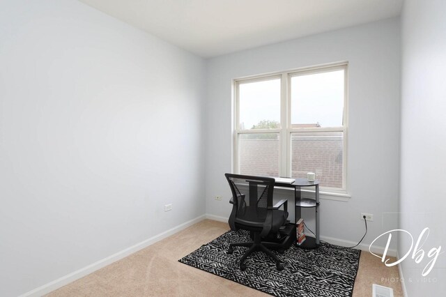 1943 Lily Ln, Round Lake, IL 60073 - office area featuring carpet flooring and baseboards