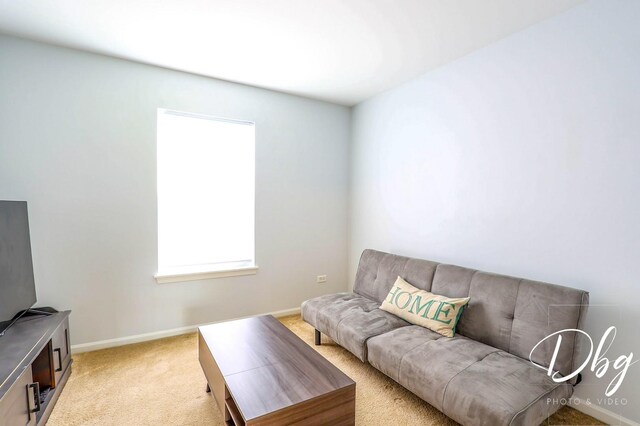 1943 Lily Ln, Round Lake, IL 60073 - living area with healthy amount of natural light and light carpet