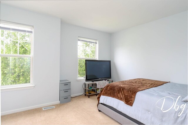 1943 Lily Ln, Round Lake, IL 60073 - bedroom featuring multiple windows and light colored carpet