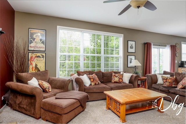 1971 W Greenleaf Dr, Round Lake, IL 60073 - photo 14