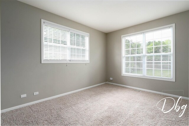 1971 W Greenleaf Dr, Round Lake, IL 60073 - photo 15