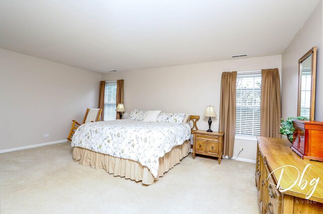 1971 W Greenleaf Dr, Round Lake, IL 60073 - photo 18