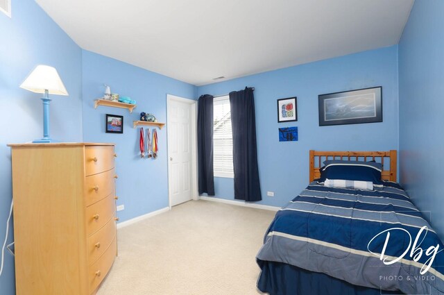 1971 W Greenleaf Dr, Round Lake, IL 60073 - photo 23