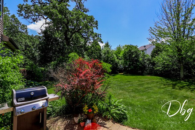 1971 W Greenleaf Dr, Round Lake, IL 60073 - photo 36
