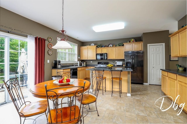 1971 W Greenleaf Dr, Round Lake, IL 60073 - photo 9