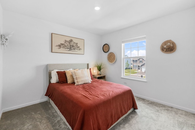 219 Conway St, Elburn, IL 60119 - carpeted bedroom with baseboards and recessed lighting