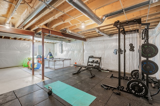 219 Conway St, Elburn, IL 60119 - view of workout area