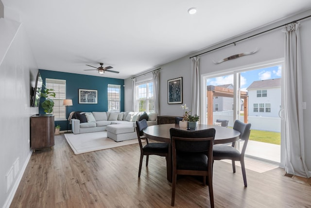 219 Conway St, Elburn, IL 60119 - dining area with wood finished floors and a ceiling fan