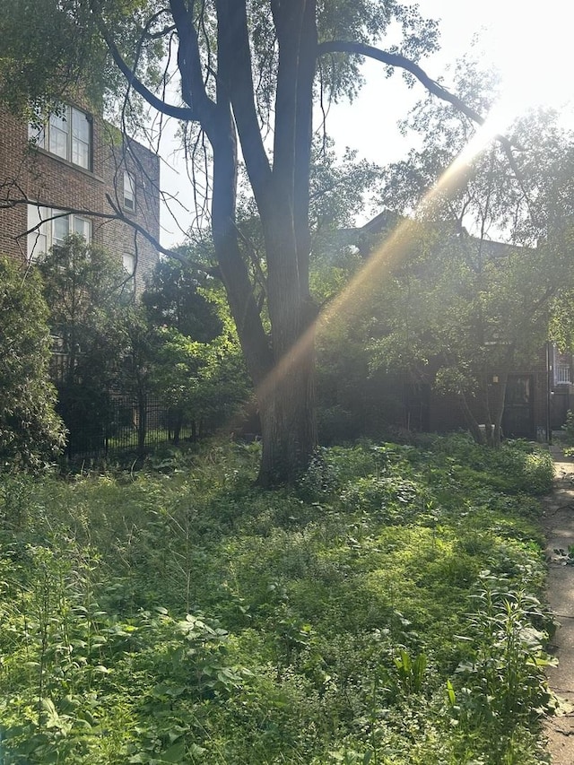 6714 S Paxton Ave, Chicago, IL 60649 - view of yard
