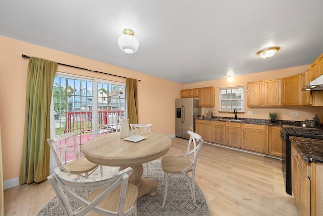 4513 S Wood St, Chicago, IL 60609 - dining space featuring healthy amount of natural light, light wood-style flooring, and baseboards