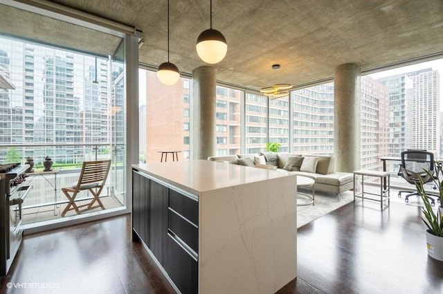 600 N Fairbanks Ct Unit 1707, Chicago, IL 60611 - walk in closet with dark wood-type flooring