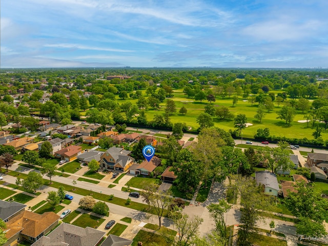 805 N Delphia Ave, Park Ridge, IL 60068 - aerial view of residential area featuring a tree filled landscape