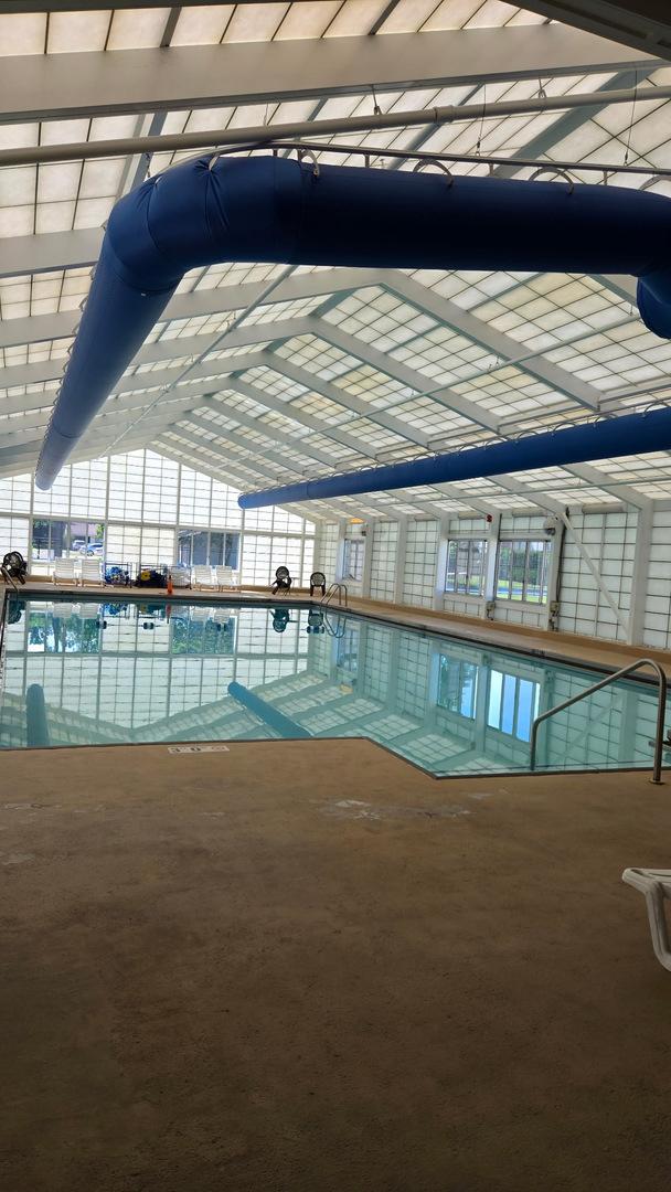 222 Oakwood Ln, Bloomingdale, IL 60108 - view of indoor pool