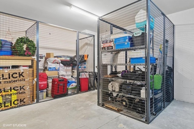 3975 Idlewild Ln Unit 200, Naperville, IL 60564 - view of storage