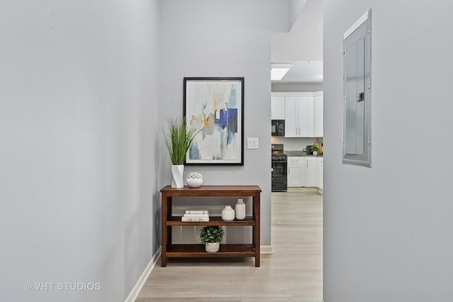 3975 Idlewild Ln Unit 200, Naperville, IL 60564 - hallway with light wood finished floors, baseboards, and electric panel