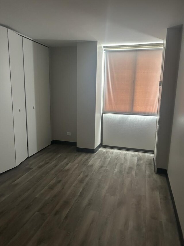 unfurnished bedroom featuring wood finished floors and a closet