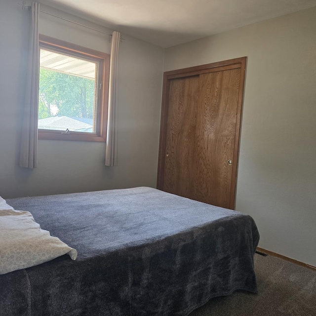 421 W 1st St, Stillman Valley, IL 61084 - carpeted bedroom with a closet