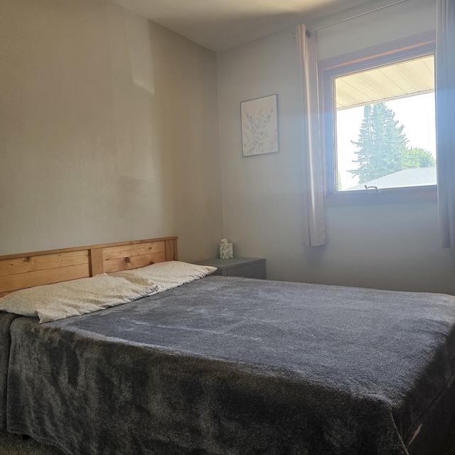 421 W 1st St, Stillman Valley, IL 61084 - view of bedroom
