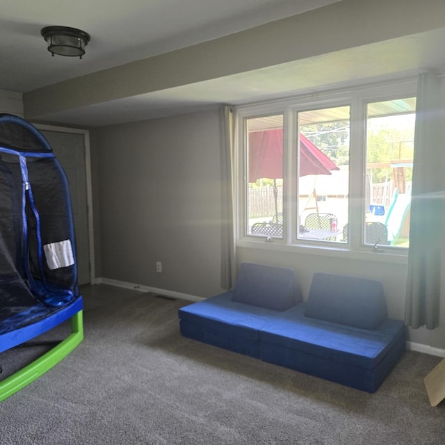 421 W 1st St, Stillman Valley, IL 61084 - rec room featuring carpet and baseboards