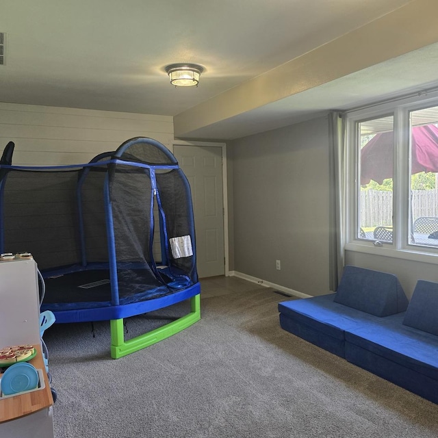 421 W 1st St, Stillman Valley, IL 61084 - playroom with carpet floors and baseboards