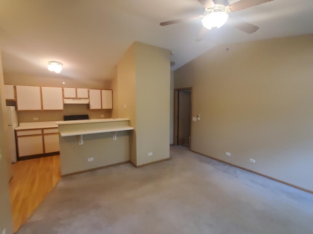 430 Cunat Blvd Unit 3C, Richmond, IL 60071 - kitchen with under cabinet range hood, a peninsula, light carpet, a ceiling fan, and lofted ceiling