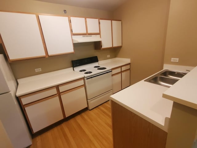 430 Cunat Blvd Unit 3C, Richmond, IL 60071 - kitchen featuring white appliances, under cabinet range hood, light wood-style floors, a sink, and light countertops