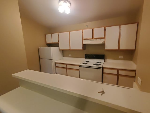 430 Cunat Blvd Unit 3C, Richmond, IL 60071 - kitchen featuring white appliances, under cabinet range hood, white cabinets, and light countertops