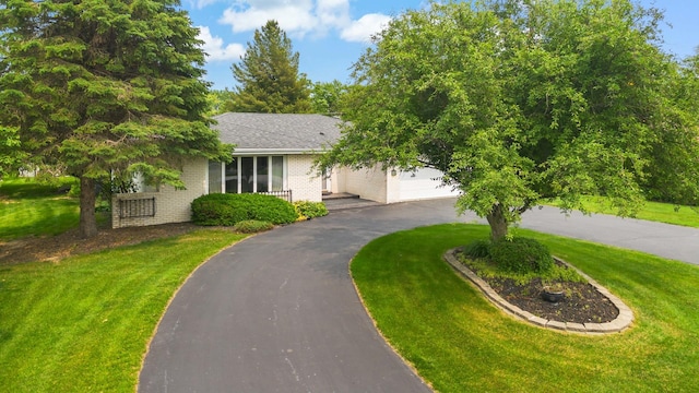 24827 S Chestnut Ln, Crete, IL 60417 - photo 4