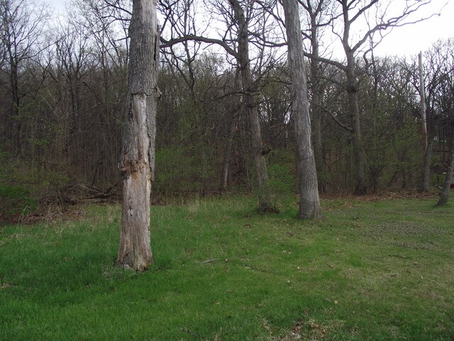 LOT012 Tuscola Ave, Saint Charles, IL 60174 - photo 1