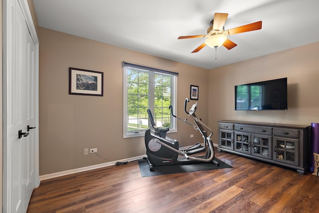 20142 Crystal Lake Way, Frankfort, IL 60423 - workout room featuring dark wood finished floors and a ceiling fan