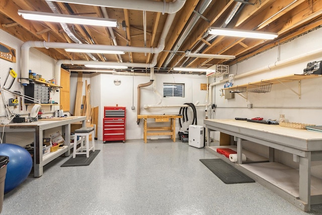 20142 Crystal Lake Way, Frankfort, IL 60423 - unfinished basement featuring a workshop area