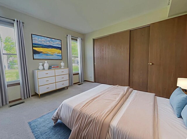 304 University Ln Unit 5, Elk Grove Village, IL 60007 - washroom featuring cabinet space and independent washer and dryer