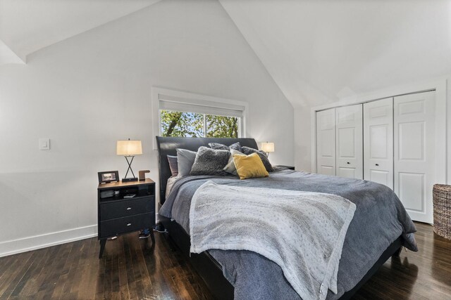 2705 Cuyler Ave, Berwyn, IL 60402 - bedroom featuring vaulted ceiling, wood finished floors, and a closet