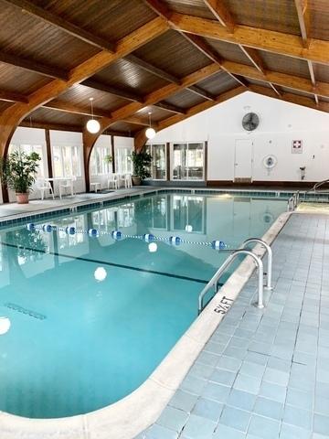 15713 Orlan Brook Dr Unit 97, Orland Park, IL 60462 - view of indoor community pool