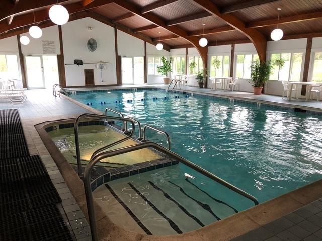 15713 Orlan Brook Dr Unit 97, Orland Park, IL 60462 - view of indoor community pool