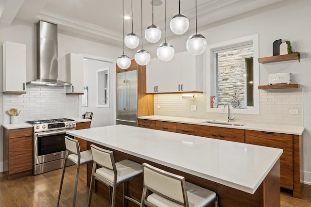1304 N Hoyne Ave Unit 1, Chicago, IL 60622 - kitchen featuring appliances with stainless steel finishes, a sink, wall chimney range hood, and light countertops