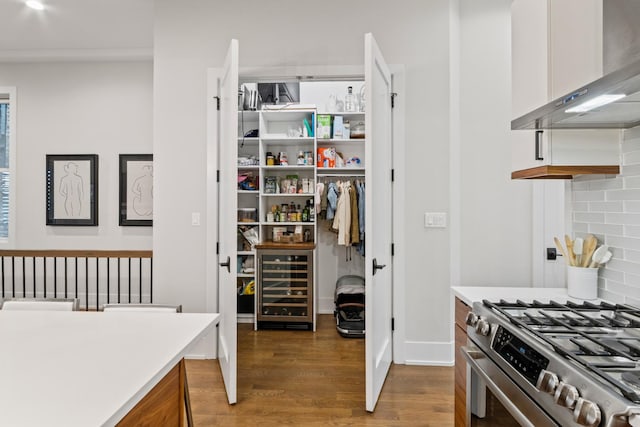 1304 N Hoyne Ave Unit 1, Chicago, IL 60622 - storage area with wine cooler