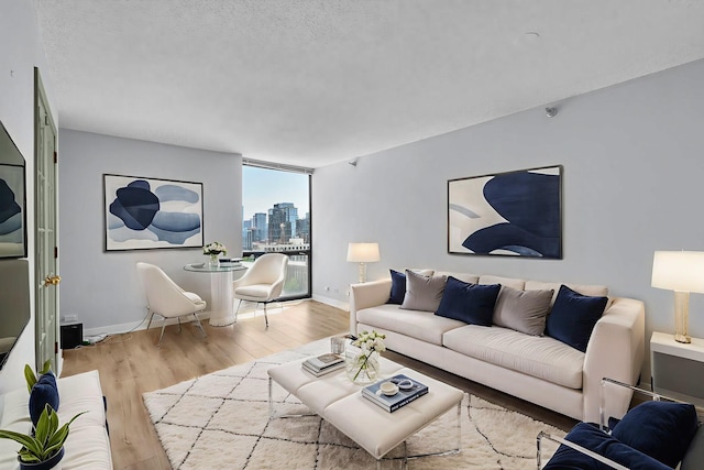 1122 N Clark St Unit 1710, Chicago, IL 60610 - living area with wood finished floors, a view of skyline, and baseboards